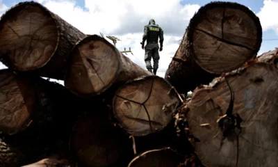 2023-02-15t204738z-1207290224-rc2euy9vrt3i-rtrmadp-3-brazil-environment-amazon-fund