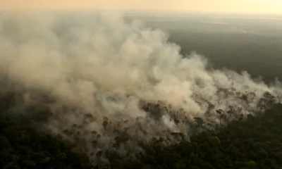 8229_F3349C8C349C8D34-2 8229_F3349C8C349C8D34-2