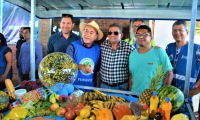 Ceasa_ED-27-800×445 Ceasa_ED-27-800x445