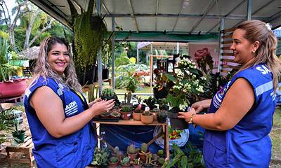 DSC_0429-scaled DSC_0429-scaled