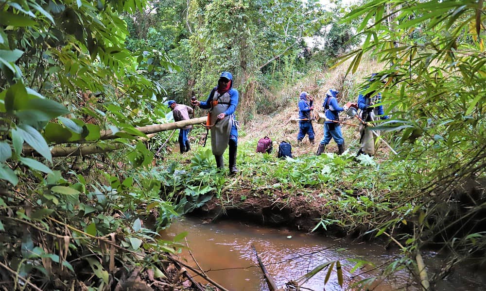 LIMPEZA-CORREGO-ED-14-20-scaled LIMPEZA-CORREGO-ED-14-20-scaled