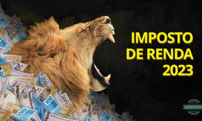 Materia-Imposto-de-Renda-3-Creditos-Montagem-Andrei-Morais-Shutterstock-Envato Materia-Imposto-de-Renda-3-Creditos-Montagem-Andrei-Morais-Shutterstock-Envato