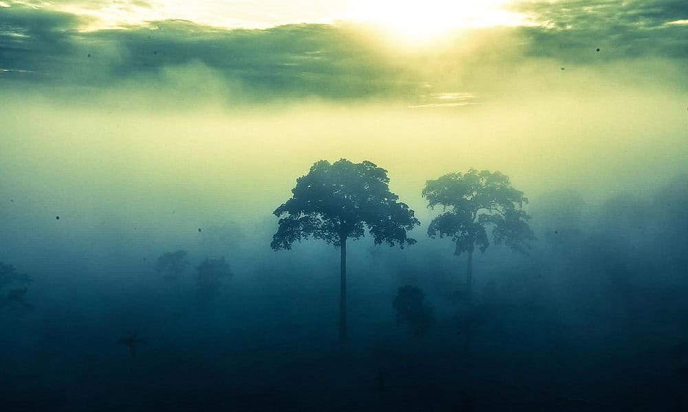 RIO-BRANCO-DE-CIMA-FRIO-4 RIO-BRANCO-DE-CIMA-FRIO-4