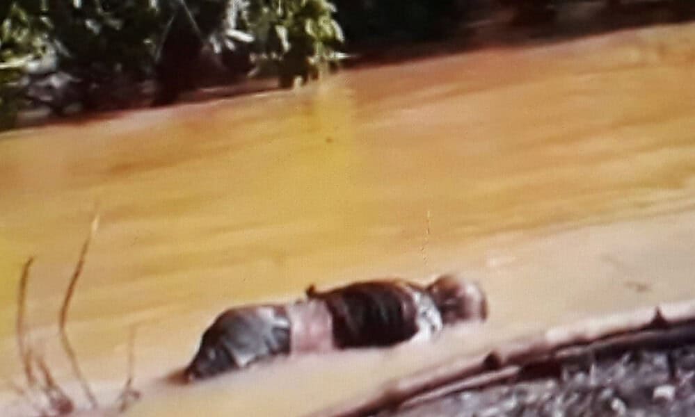 WhatsApp Image 2023-06-06 at 12.30.26 WhatsApp Image 2023-06-06 at 12.30.26