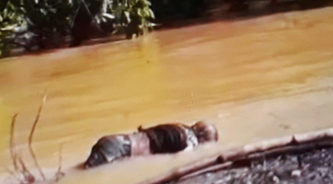 Polícia faz buscas por corpo que aparece em vídeo boiando no rio