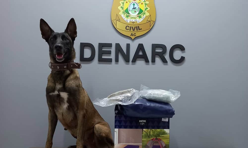 WhatsApp Image 2023-06-15 at 15.34.12 WhatsApp Image 2023-06-15 at 15.34.12