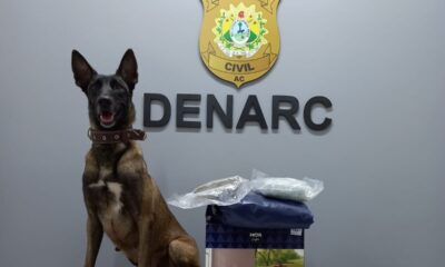 WhatsApp Image 2023-06-15 at 15.34.12 WhatsApp Image 2023-06-15 at 15.34.12