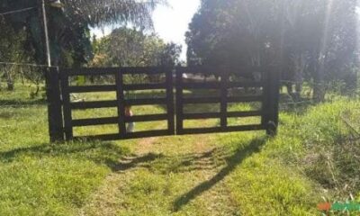 WhatsApp Image 2023-06-15 at 16.29.07 WhatsApp Image 2023-06-15 at 16.29.07