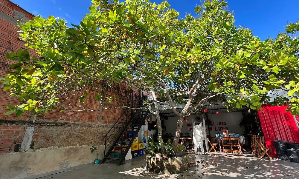 WhatsApp Image 2023-06-21 at 12.28.11 WhatsApp Image 2023-06-21 at 12.28.11