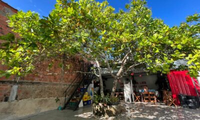 WhatsApp Image 2023-06-21 at 12.28.11 WhatsApp Image 2023-06-21 at 12.28.11