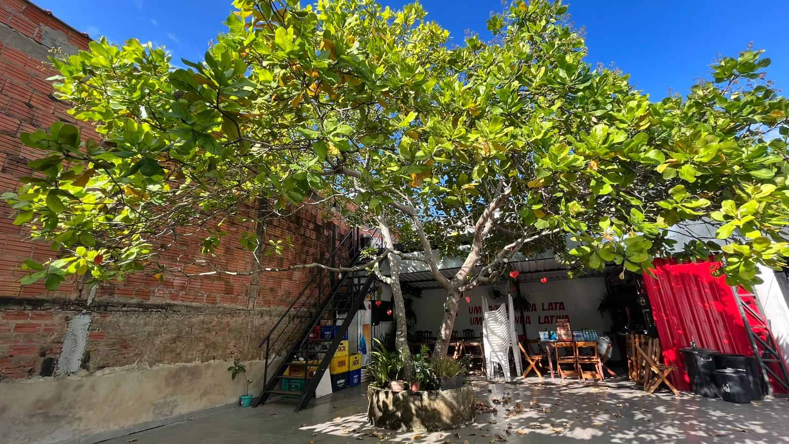 Feira reúne empreendedores populares para celebrar o São João no  Xavier Maia