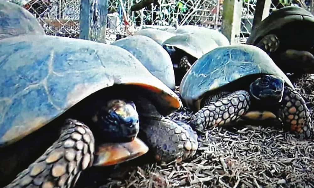 WhatsApp Image 2023-06-26 at 16.43.06