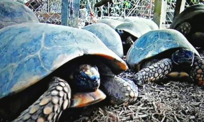 WhatsApp Image 2023-06-26 at 16.43.06 WhatsApp Image 2023-06-26 at 16.43.06