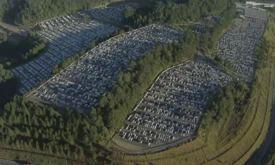 acervo-bdsp-bdbr-limpo-20230628-0545-frame-211141 acervo-bdsp-bdbr-limpo-20230628-0545-frame-211141