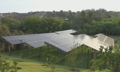 bdbr-limpo-20230605-0800-frame-103651 bdbr-limpo-20230605-0800-frame-103651