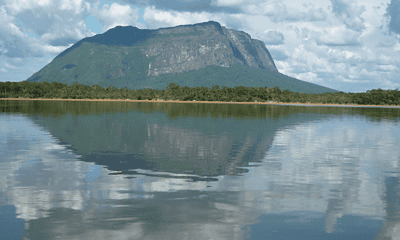 design-sem-nome-2-4-750×450 design-sem-nome-2-4-750x450