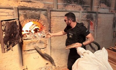 exrctvybumio exrctvybumio