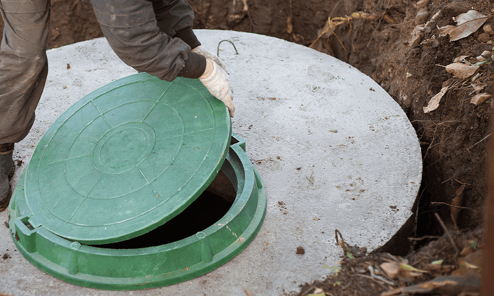 fossaseptica fossaseptica