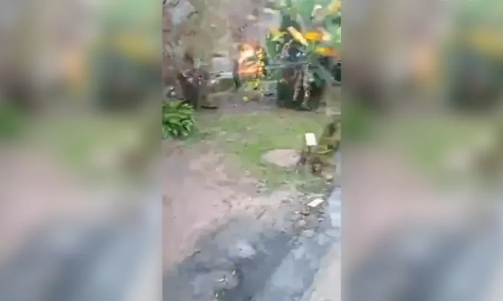 homem-sequestrado-escapa-de-carro-em-chamas-montagem