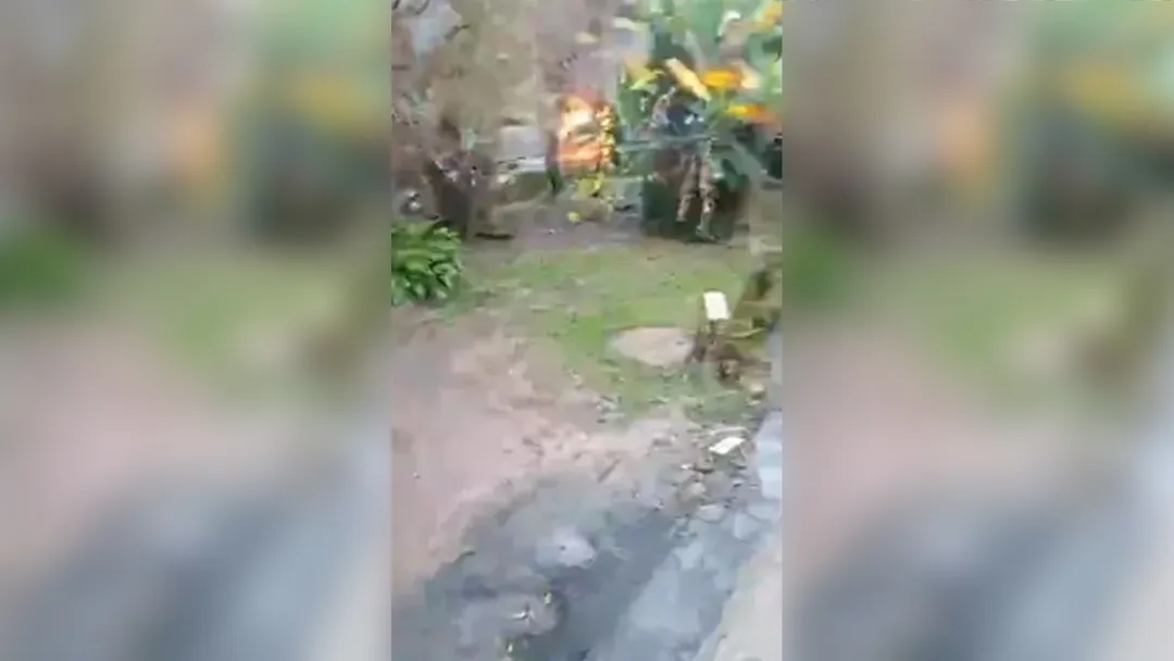 Empresário sequestrado escapa de veículo em chamas, pula em córrego e é salvo