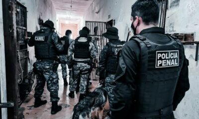 images.jpeg-3 images.jpeg-3