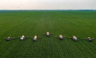 james-baltz-jAt6cN6zl8M-unsplash