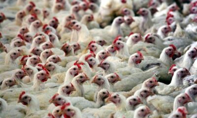 tagreuters.com2022binary_LYNXMPEI6R0L7-FILEDIMAGE