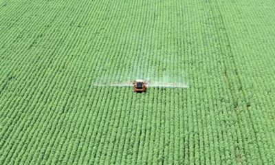 2021-12-08T214332Z_1_LYNXMPEHB7182_RTROPTP_4_BRAZIL-SOYBEAN