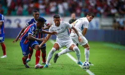 53015998911_e3fda83ee6_c 53015998911_e3fda83ee6_c