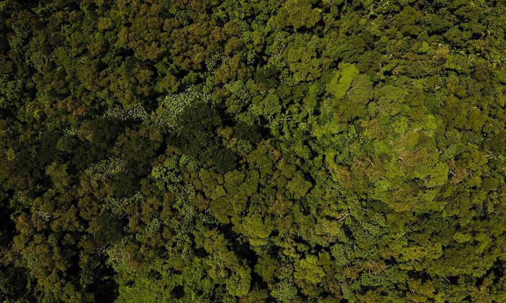 5caa0b95-85ab-4d93-b9eb-7dccf8620c78-1536×1152 5caa0b95-85ab-4d93-b9eb-7dccf8620c78-1536x1152