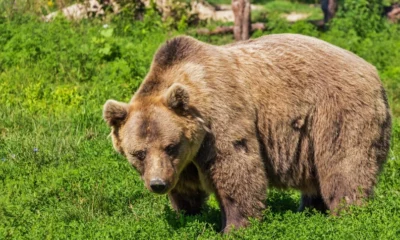 8422_B883706A7F7F5624