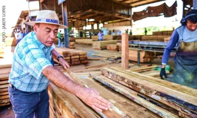 BOCA_MADENIRA-jpg BOCA_MADENIRA-jpg