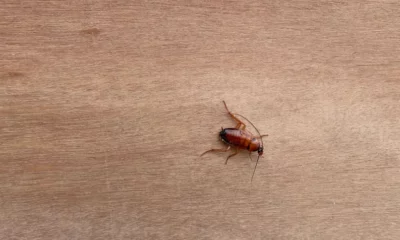 GettyImages-1457912047-e1688295389900 GettyImages-1457912047-e1688295389900