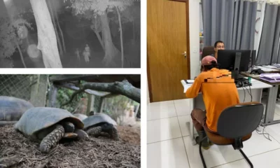 JANUTI-jpg JANUTI-jpg