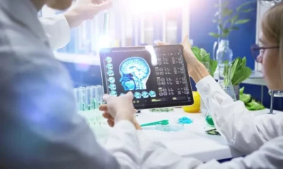 Pesquisa-cerebro Pesquisa-cerebro