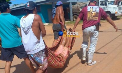 WhatsApp-Image-2023-06-03-at-09.03.02 WhatsApp-Image-2023-06-03-at-09.03.02