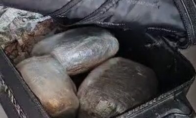 WhatsApp Image 2023-07-06 at 12.31.15 WhatsApp Image 2023-07-06 at 12.31.15