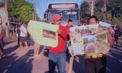 WhatsApp Image 2023-07-10 at 12.09.42