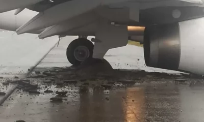 WhatsApp-Image-2023-07-12-at-10.54.25