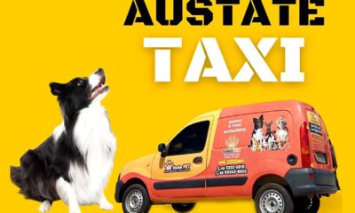 WhatsApp Image 2023-07-13 at 12.20.12 WhatsApp Image 2023-07-13 at 12.20.12