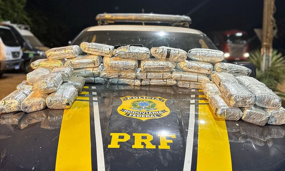 WhatsApp Image 2023-07-15 at 11.50.41