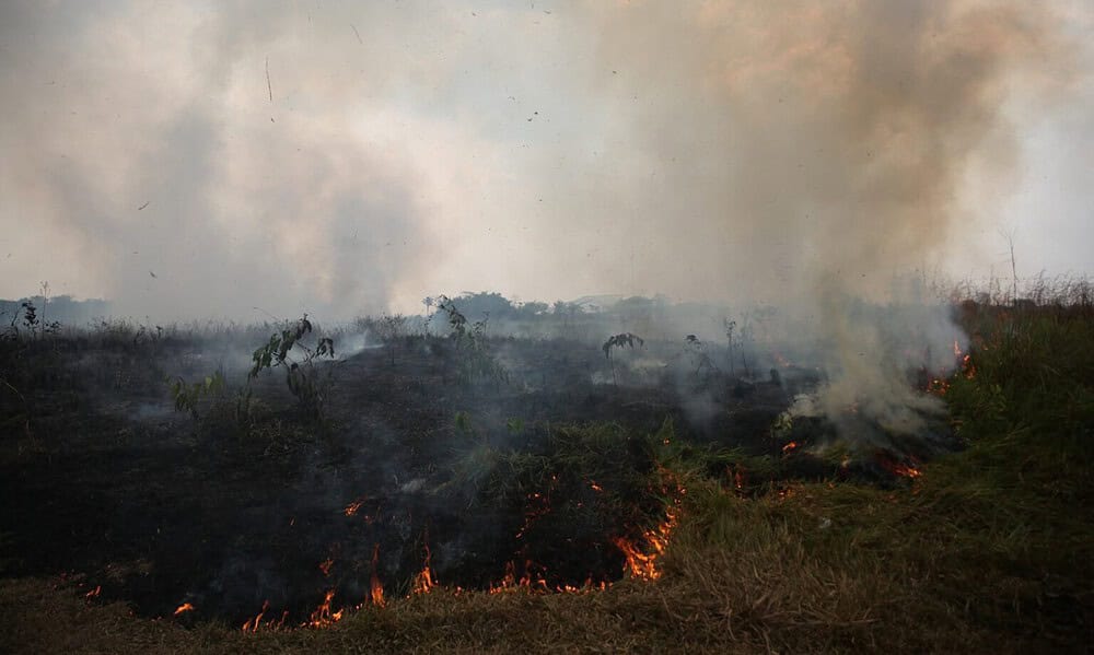 WhatsApp-Image-2023-07-17-at-11.17.20-1536×1023 WhatsApp-Image-2023-07-17-at-11.17.20-1536x1023