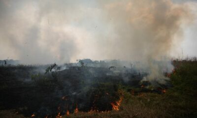 WhatsApp-Image-2023-07-17-at-11.17.20-1536×1023 WhatsApp-Image-2023-07-17-at-11.17.20-1536x1023