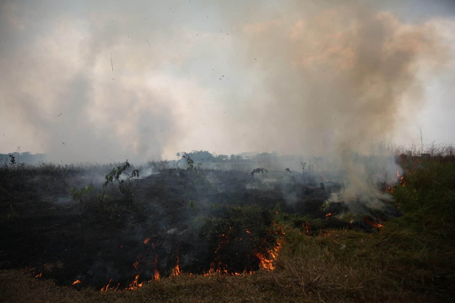 Fumaça das queimadas causa preocupação com doenças respiratórias, alerta Saúde