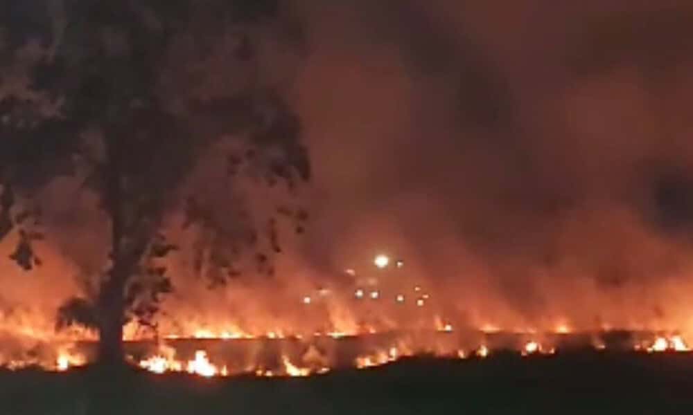 WhatsApp Image 2023-07-24 at 01.20.53