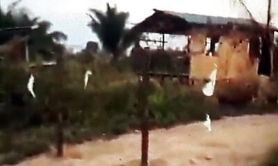 WhatsApp Image 2023-07-25 at 12.14.49 WhatsApp Image 2023-07-25 at 12.14.49