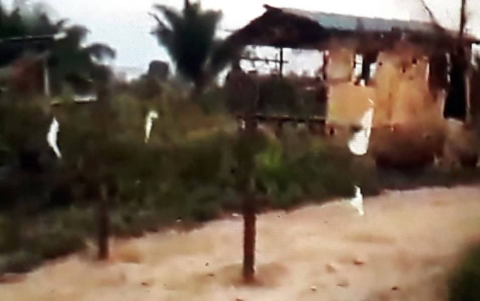 WhatsApp Image 2023-07-25 at 12.14.49 WhatsApp Image 2023-07-25 at 12.14.49