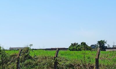 WhatsApp Image 2023-07-26 at 14.42.27 (1) WhatsApp Image 2023-07-26 at 14.42.27 (1)