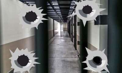 WhatsApp Image 2023-07-26 at 15.13.44 WhatsApp Image 2023-07-26 at 15.13.44