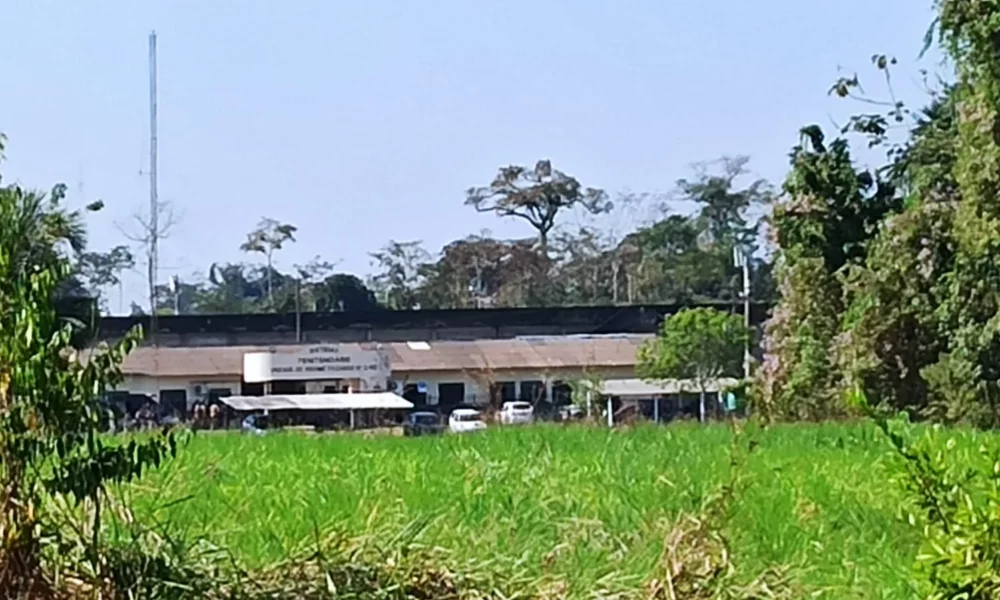 WhatsApp-Image-2023-07-26-at-16.28.37-1-jpeg WhatsApp-Image-2023-07-26-at-16.28.37-1-jpeg